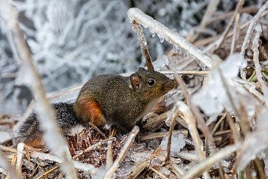 《星球大战绝地：幸存者》更新补丁 移除D加密